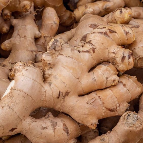 Meghalaya Ginger